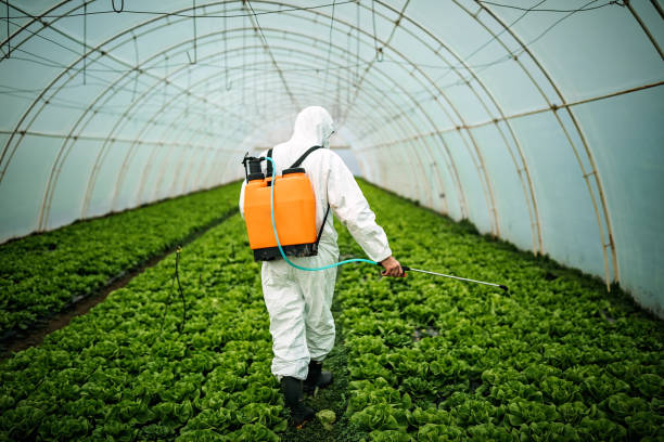 Best Best Pest Control Companies  in Port Lavaca, TX