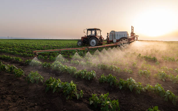 Best Pest Control Near Me in Port Lavaca, TX