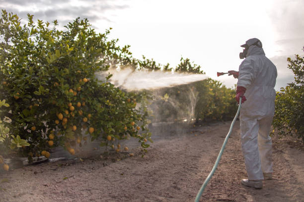 Best Mosquito Control Services  in Port Lavaca, TX