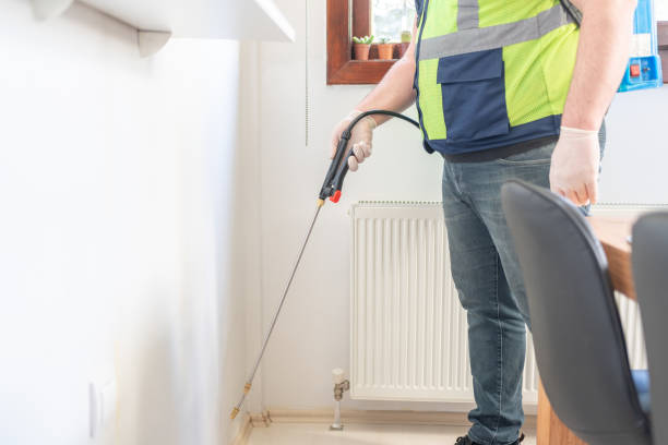 Best Flea Control Services  in Port Lavaca, TX