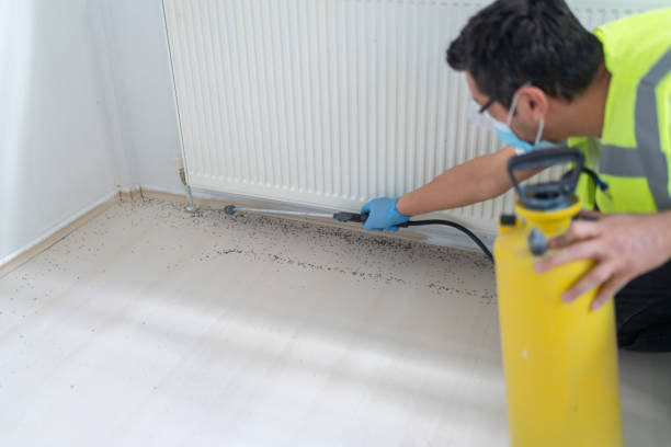 Port Lavaca, TX Pest Control Company