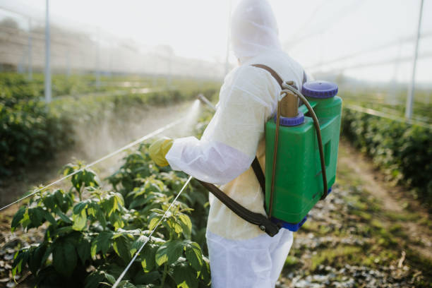 Best Affordable Pest Control Services  in Port Lavaca, TX
